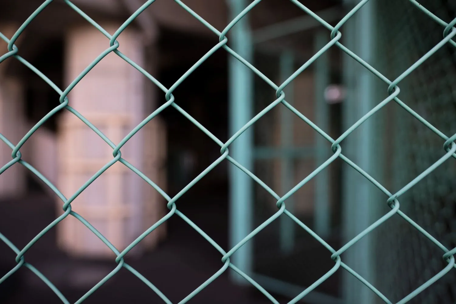 Close-up of green chain link fence mesh