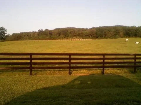 A split rail fence surrounds a grassy field with trees in the background.