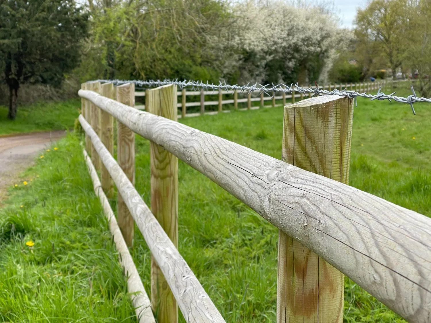 Round-rail split rail fence along a grassy field