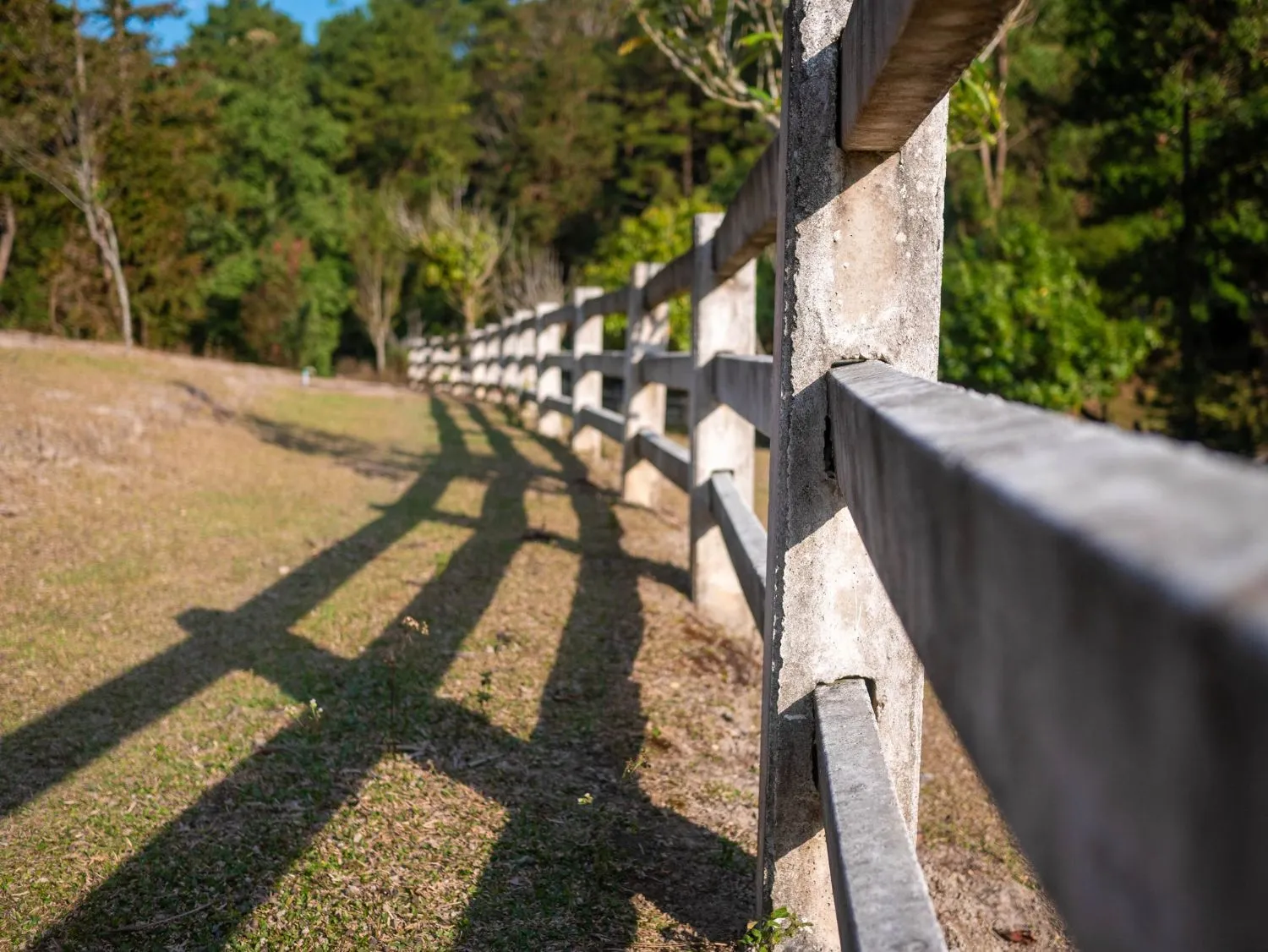 Split rail fence casting long shadows across a grassy slope