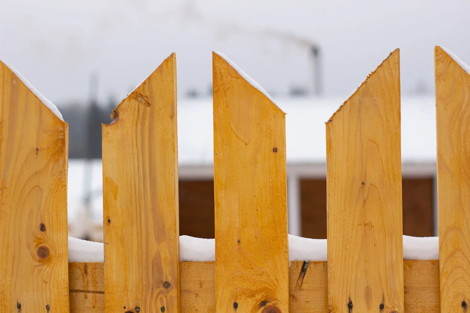 Close-up of natural wood picket tops